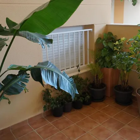 Lujo Recién Reformado Con Jardín - Caños De Meca - 50m Playa *